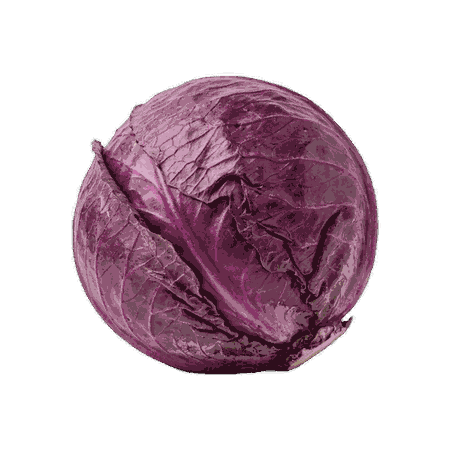 Chou rouge