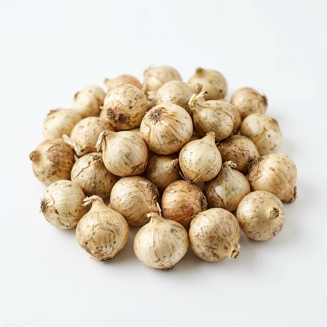 Oignons petits du village